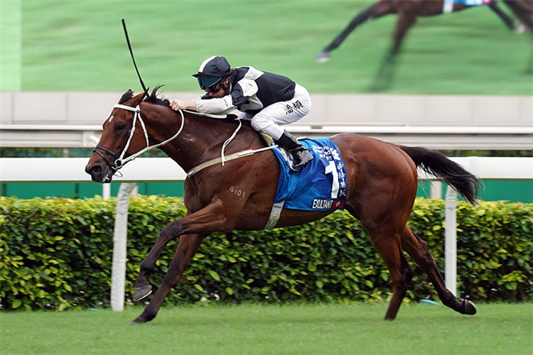 EXULTANT winning the Standard Chartered Chater Cup.