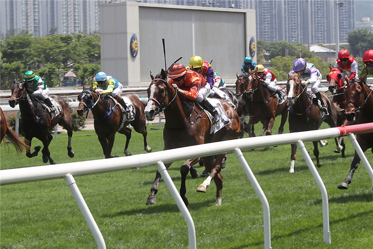 Fabulous Eight is a top rater at Happy Valley.