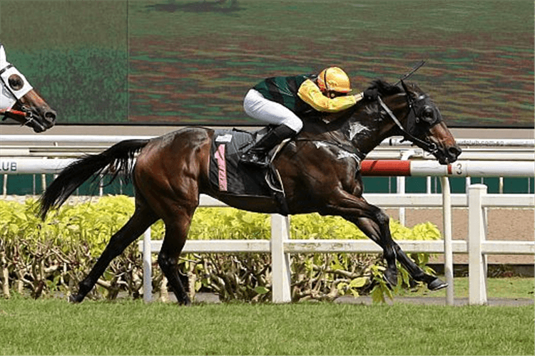 FAME STAR winning the STEPITUP 2015 STAKES KRANJI STAKES A.