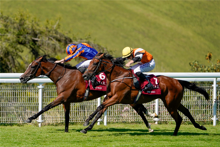 FANCY BLUE winning the Nassau Stakes at Goodwood in England.