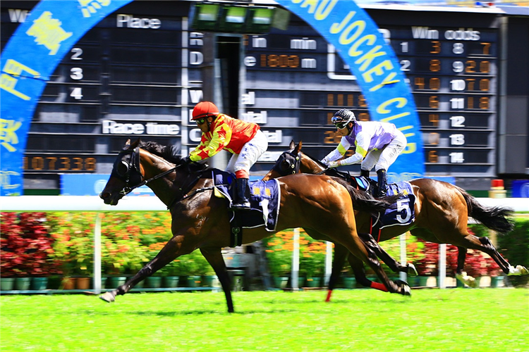 FANTASTIC FRIENDS winning the THE CAIRNS