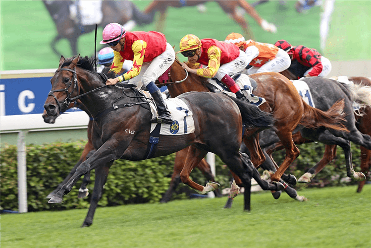 Farhh Above is a top-rater at Sha Tin on Sunday.