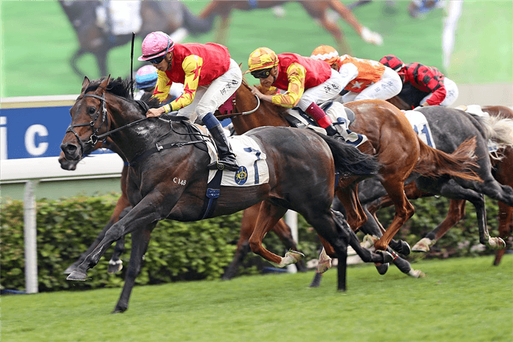 FARHH ABOVE winning the Nga Tsin Wai Hcp (C3)