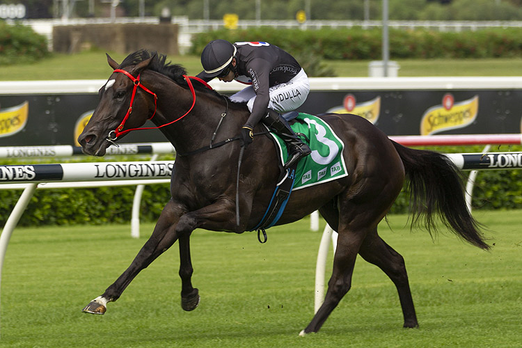 FASIKA winning the Tricolours Wenona Girl Qlty