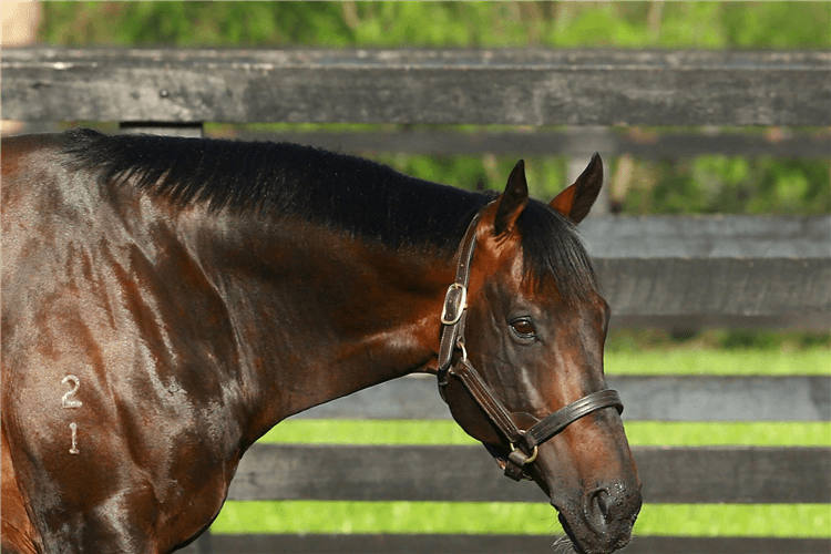 FASTNET ROCK.