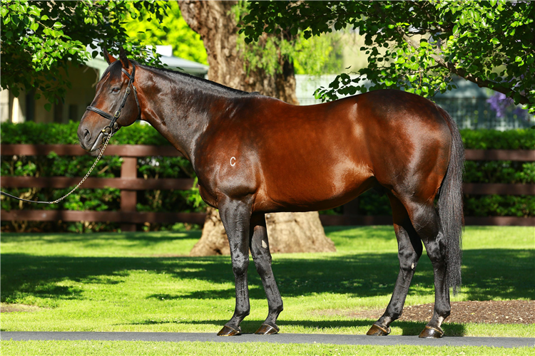 Fastnet Rock.