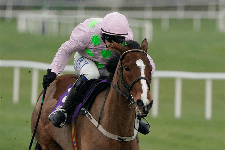 FAUGHEEN winning the Flogas Novice Chase during the Dublin Racing Festival at Leopardstown in Dublin, Ireland.
