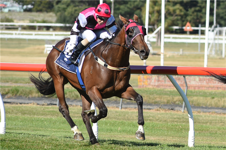 Gr.1 New Zealand Oaks (2400m) placegetter Feel The Rush.