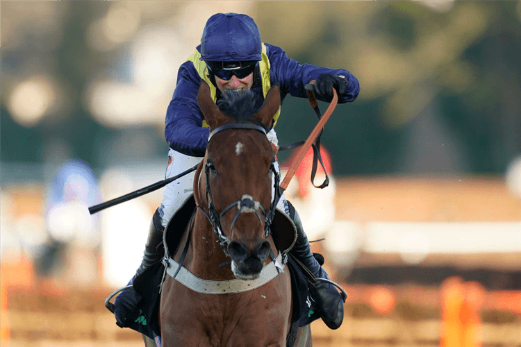 FIDDLERONTHEROOF winning the Tolworth Novices' Hurdle at Sandown Park in Esher, England.