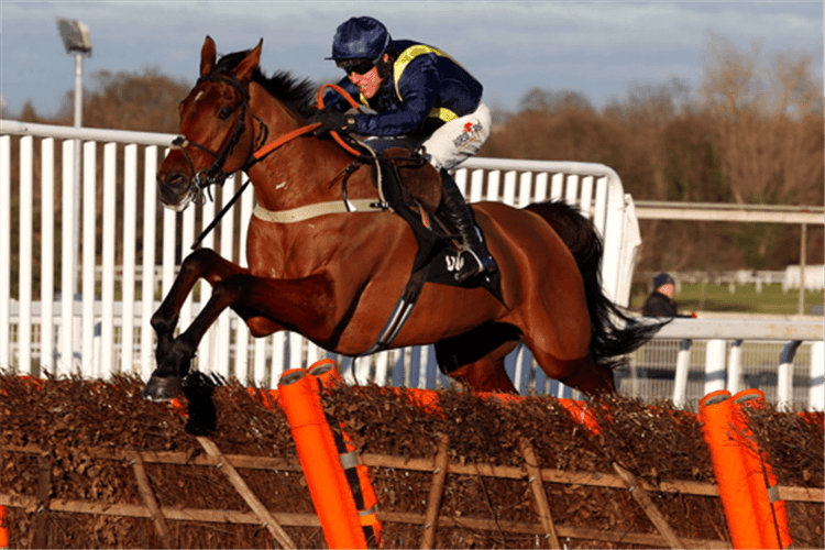 FIDDLERONTHEROOF winning the Unibet Tolworth Novices' Hurdle (Grade 1)