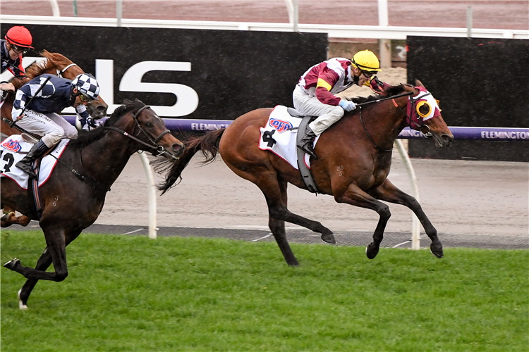 FIERCE IMPACT winning the Pfd Food Services Makybe Diva.