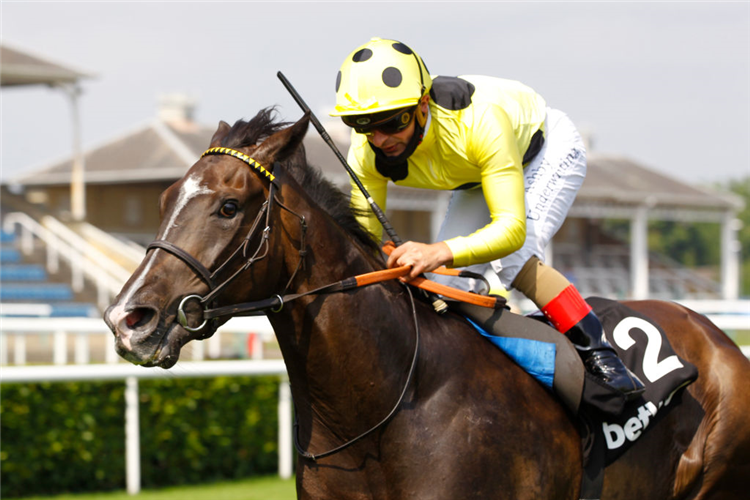 FIFTH POSITION winning the Heed Your Hunch At Betway Handicap at from Anythingtoday in Doncaster, England.