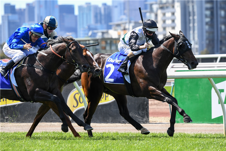 FINANCE TYCOON beats Ingratiating in the Darley Maribyrnong Plate.