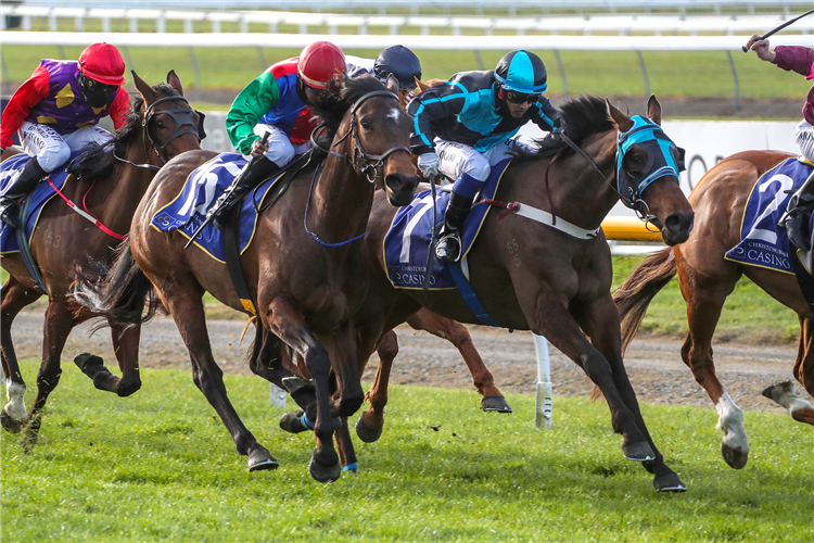 Five Princes (middle) gets the better of Jildi Jildi (outer) at Riccarton
