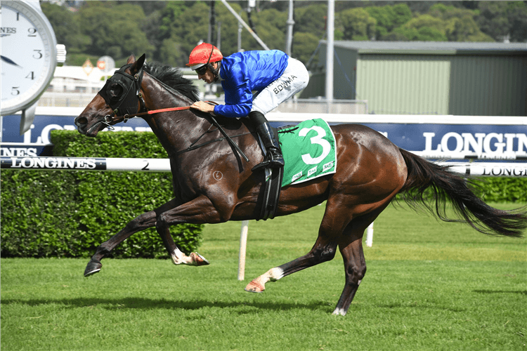 FLIT winning the Tab Light Fingers Stakes.