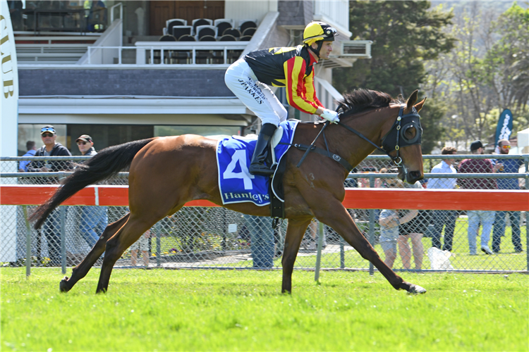 Floral Art will contest the Christchurch Casino Winter Classic (2000m) at Riccarton on Saturday.