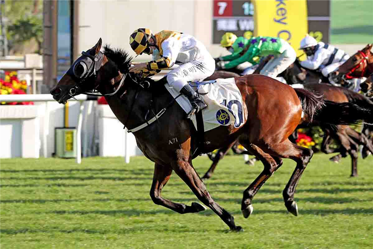FLYING QUEST winning the Cheung Sheung Hcp (C2)