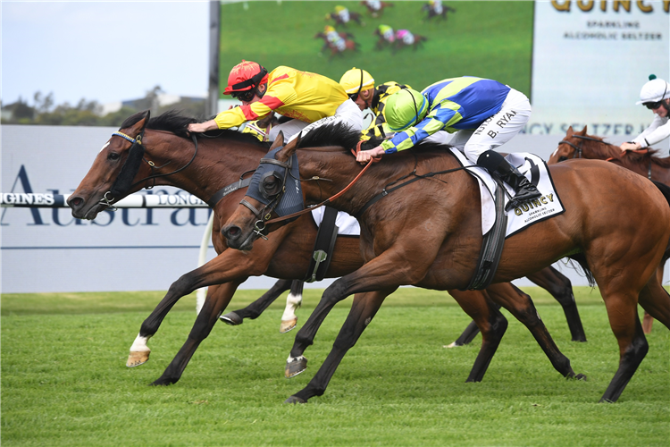 FORTRESS COMMAND winning the Quincy Seltzer Hcp at Rosehill in Australia.