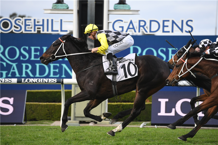 FRANKELY AWESOME winning the WJ Mckell Cup.