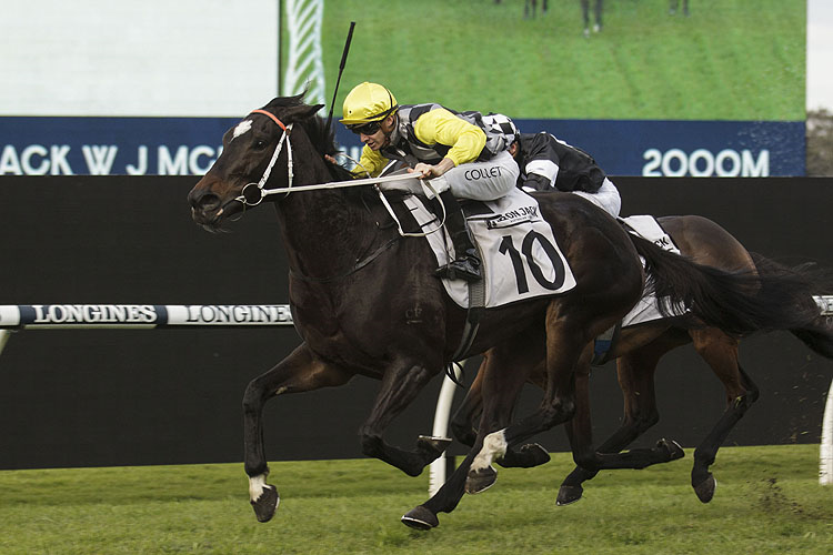 FRANKELY AWESOME winning the WJ McKell Cup.