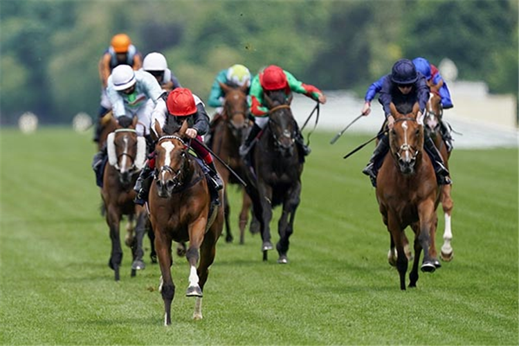 FRANKLY DARLING winning the Ribblesdale Stakes at Ascot in England.