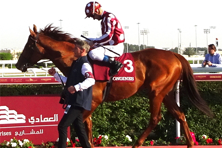 FRENCH KING parading after winning the H.H THE AMIR TROPHY (QA GR 1) (Presented by Longines) (Far Bend)