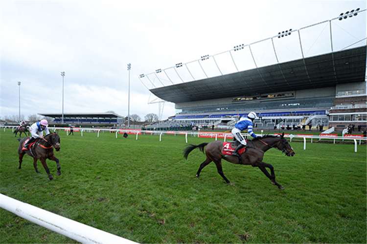 FRODON winning the King George VI Chase.
