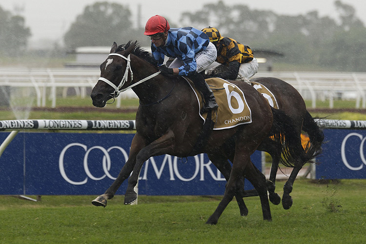 FUNSTAR winning the Chandon Phar Lap Stakes.