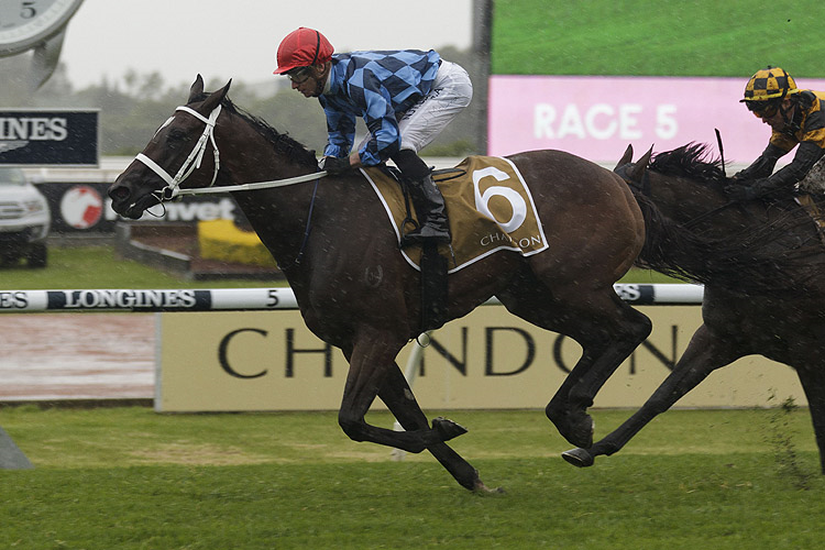 FUNSTAR winning the Chandon Phar Lap Stakes