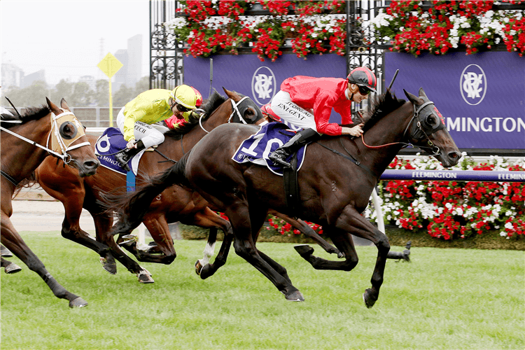 GALAXY RAIDER winning the Paddock Bar Plate