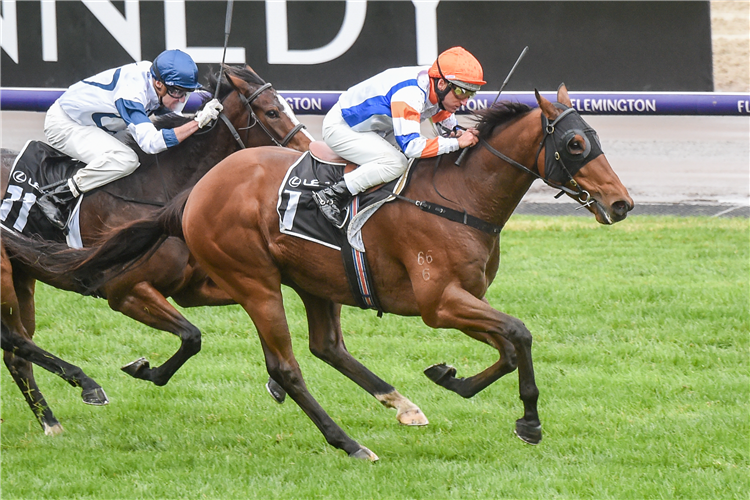 GAME KEEPER winning the Efficient Handicap in Flemington, Australia.