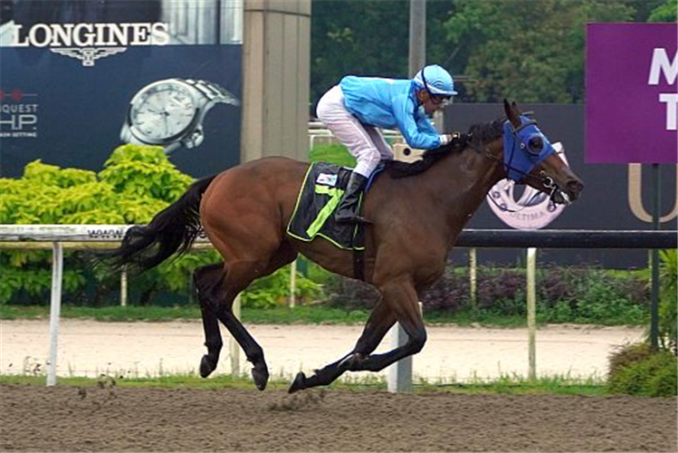 GAMELY winning the QUE EXPRESION 2003 STAKES CLASS 4