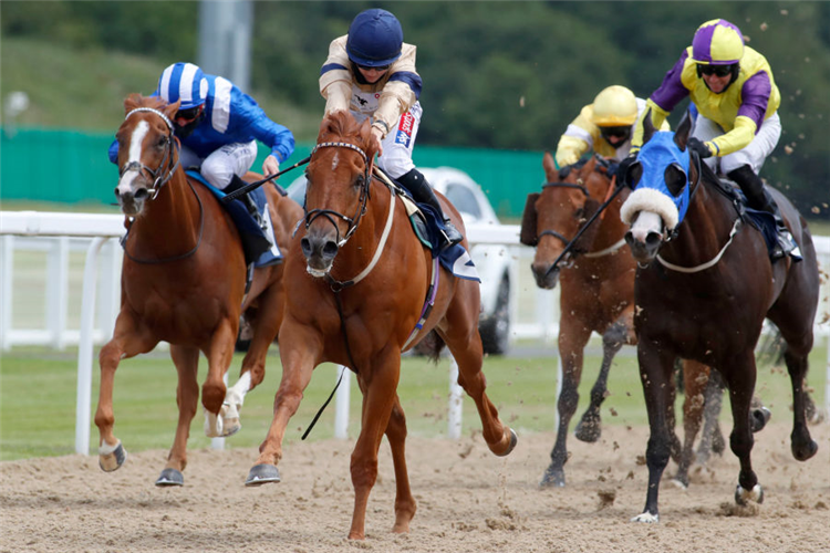 GLEN SHIEL winning the Betfair Racing Only Bettor Handicap in Newcastle, England.