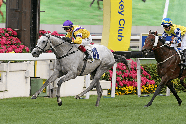 GLORIOUS DRAGON winning the Beas River Hcp (C2)