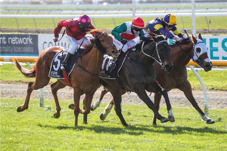 GLORIOUS OCEAN (centre) winning the Pgg Wrightson Seeds Hcp (67)