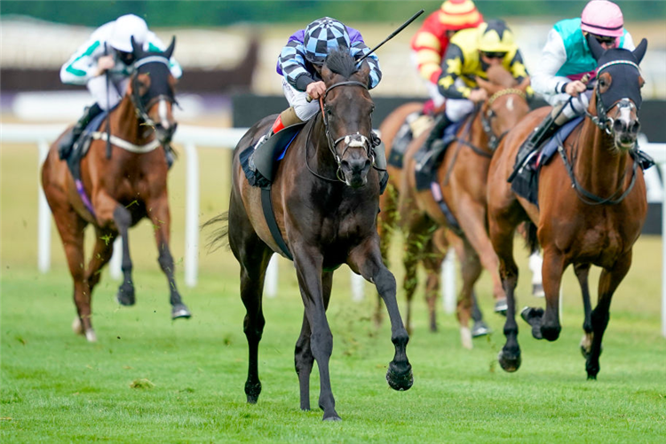 GOLD WAND winning the It's Not Rocket Science With MansionBet Maiden Fillies' Stakes in Newbury, England.