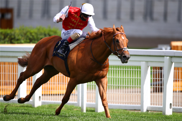 GOLDEN HORDE winning the Commonwealth Cup at Ascot in England.