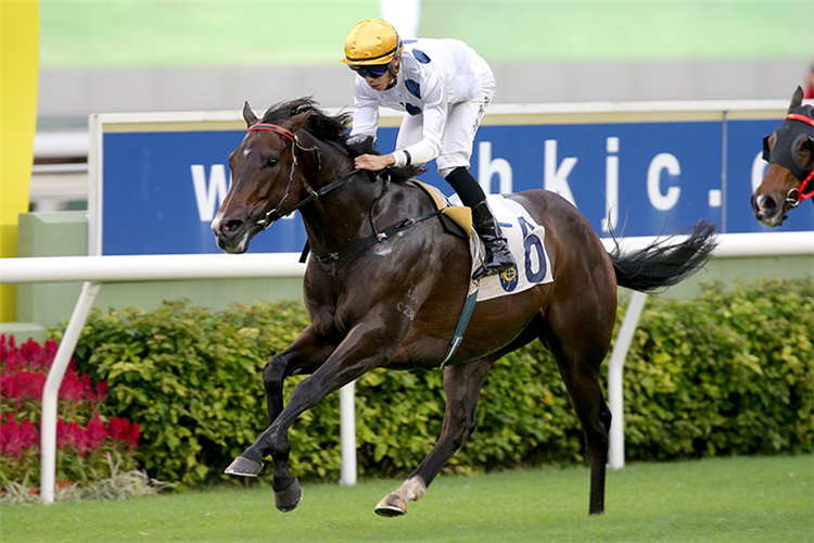 Golden Sixty is a top rater at Sha Tin.