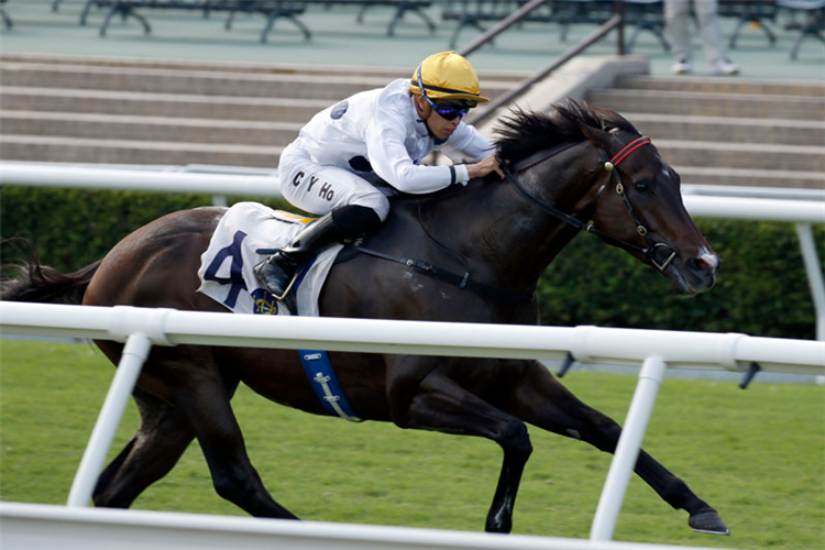 GOLDEN SIXTY winning the Oriental Watch Sha Tin Trophy.