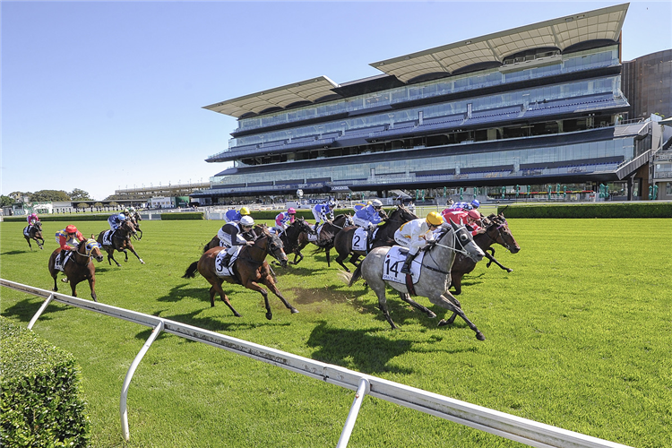 GRACIE BELLE winning the Newhaven Park Country Championships Fnl.