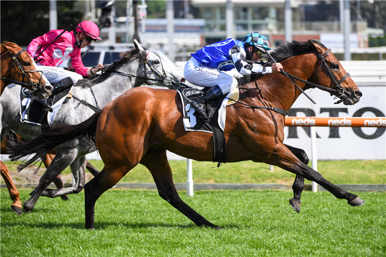 GRAFF winning the McCafe Caulfield Sprint.