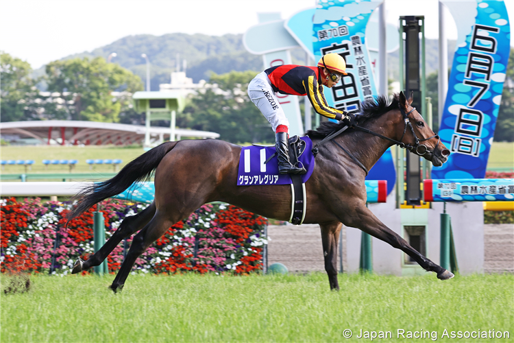 GRAN ALEGRIA winning the Yasuda Kinen at Tokyo in Japan.