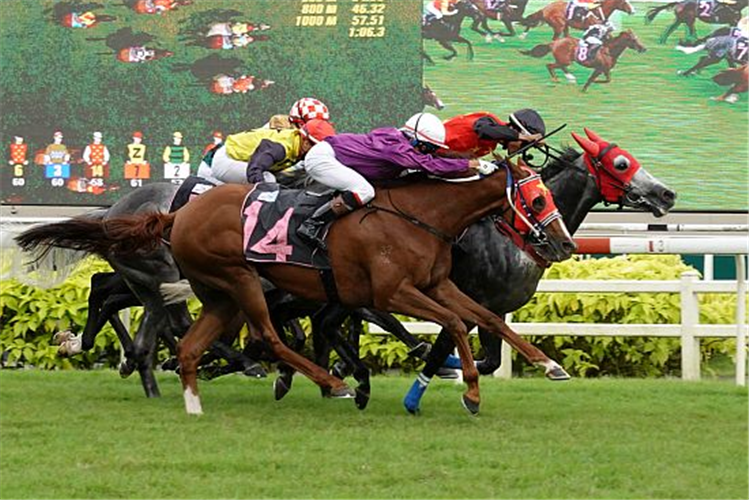 GRAND KOONTA winning the REVOLTE 2009 STAKES CLASS 1