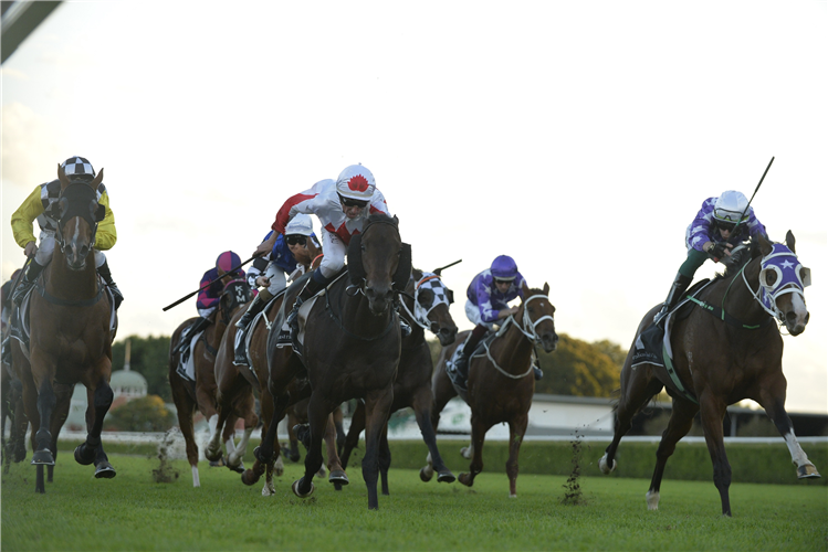 Dealmaker beaten a nose behind Grand Piano.