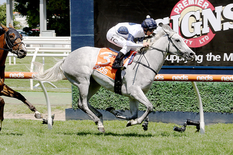 GREYSFUL GLAMOUR winning the Premier Signs Mannerism Stakes