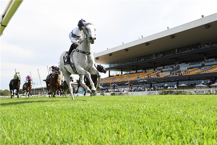 GREYSFUL GLAMOUR winning the Atc Cup.