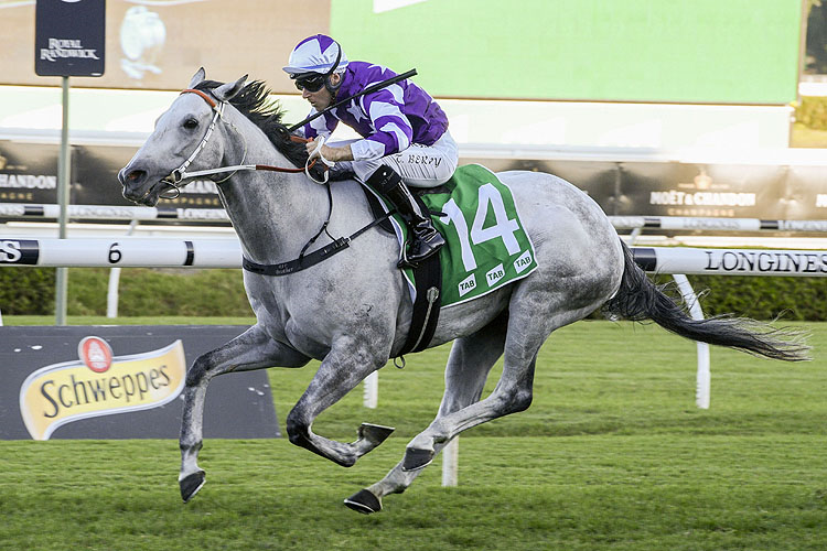 GREYWORM winning the Tab Hall Mark Stakes.