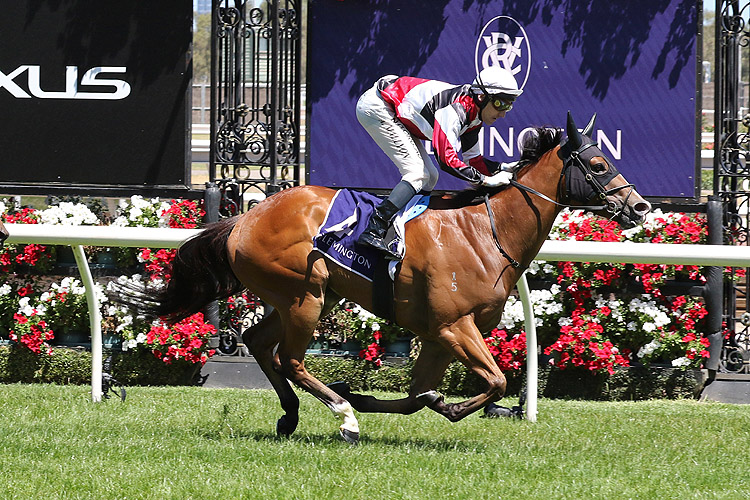 Halvorsen winning the Standish Hcp