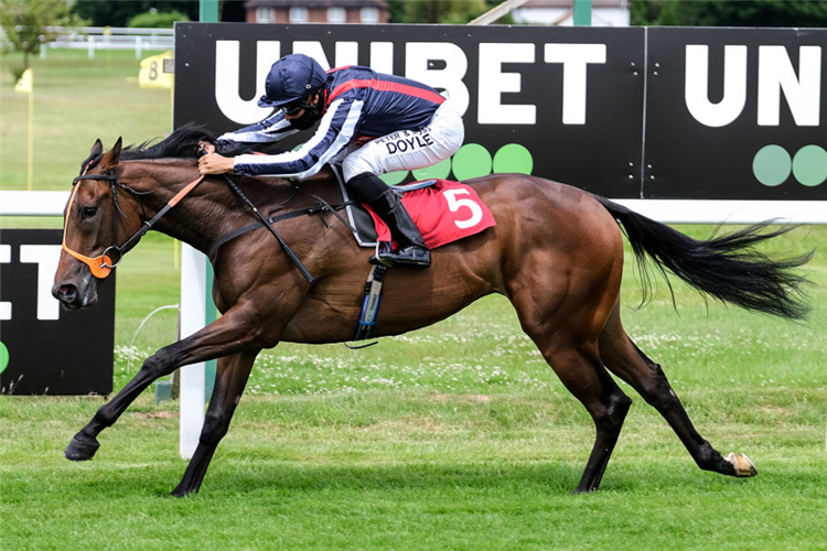 HAPPY ROMANCE winning the Unibet Extra Place Offers Every Day EBF Maiden Stakes at Sandown in Esher, England.