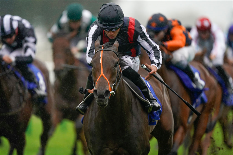HAPPY ROMANCE winning the Shadwell Dick Poole Fillies' Stakes at Salisbury in England.